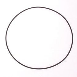 Pedrollo O-ring pomphuis JSW3 serie