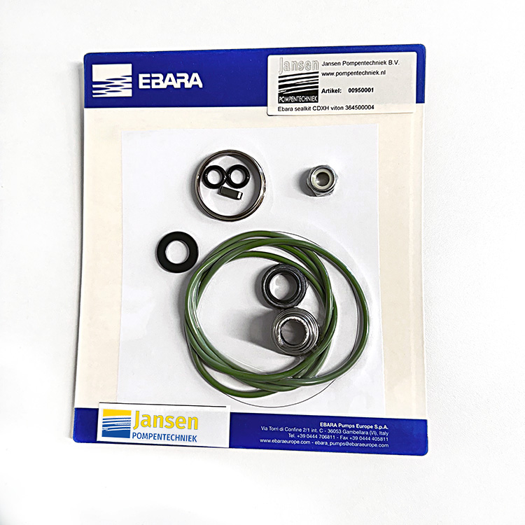 Sealkit Ebara CDX series viton